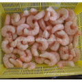 Frozen Pud Red Shrimp Solenocera Melantho para a Espanha